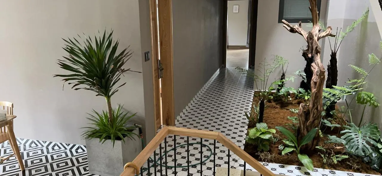 וונג טאו N11 Homestay וייטנאם